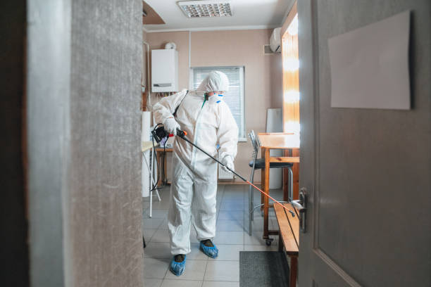Best Emergency Mold Remediation  in De Soto, IA